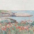 Poppies on the Isles of Shoals by Frederick Childe Hassam - Art Print - Zapista