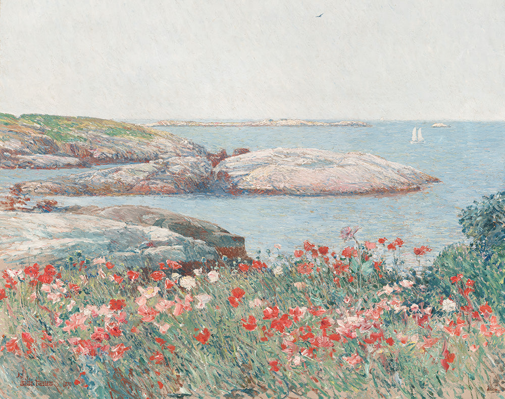 Poppies on the Isles of Shoals by Frederick Childe Hassam - Art Print - Zapista