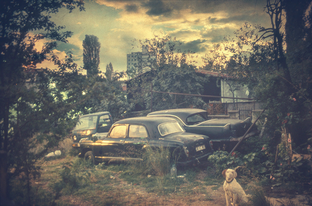 Relapse - Art Print - Zapista