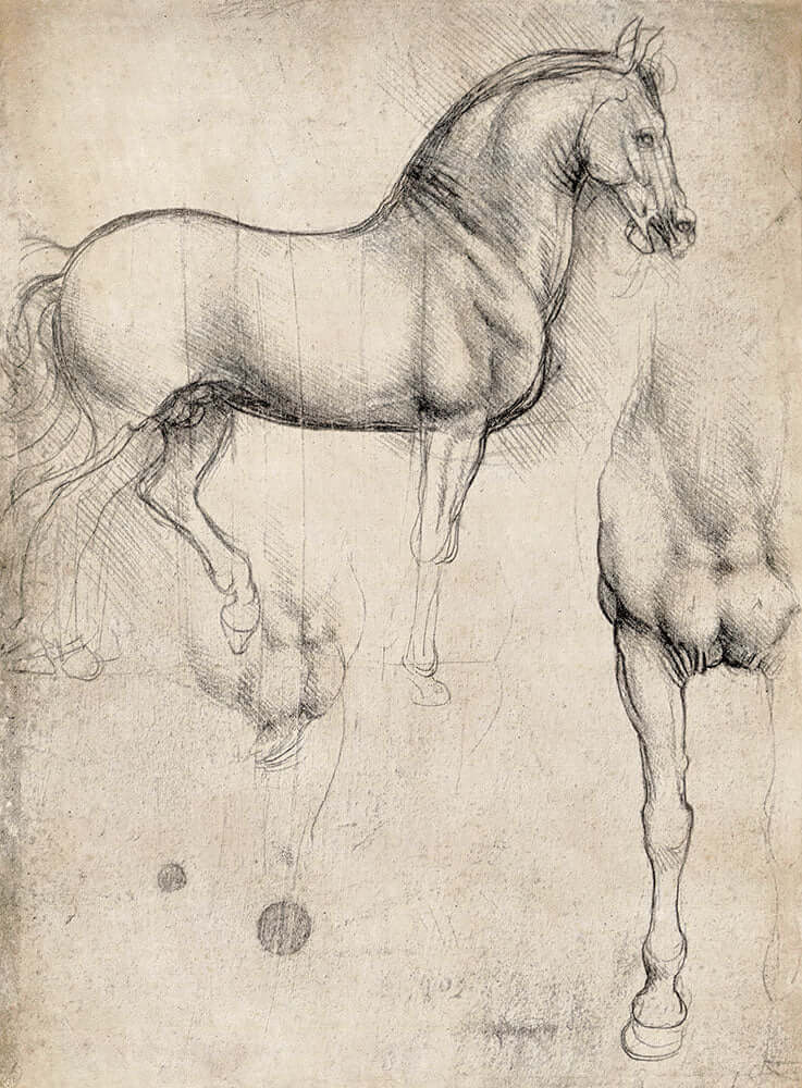 Studies of a Horse by Leonardo da Vinci - Art Print - Zapista