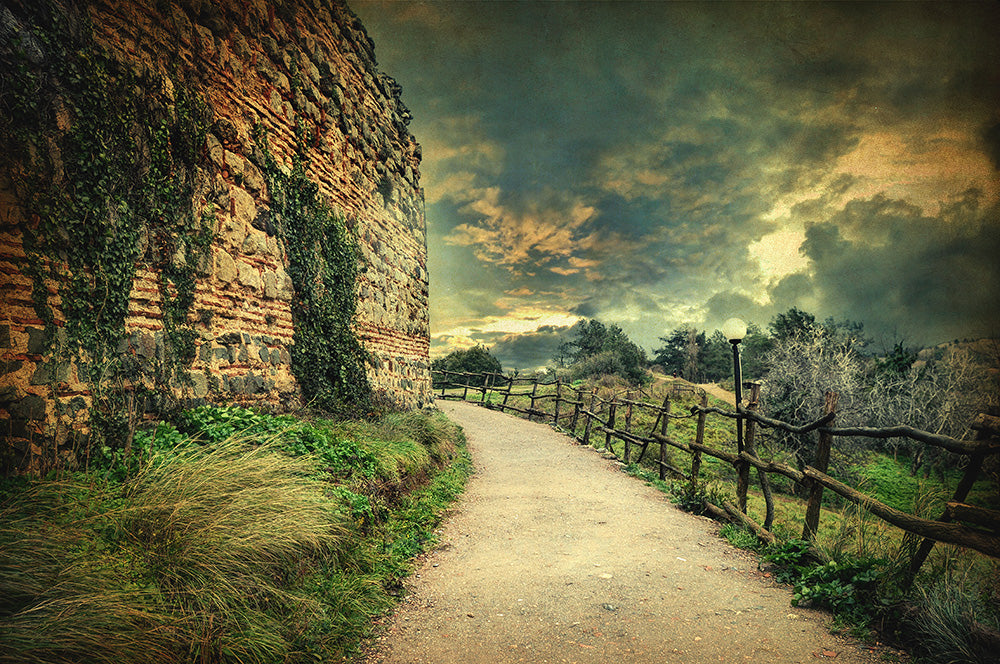 Suddenly Awake - Art Print | Zapista