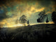 Sunset Trip II - Art Print - Zapista