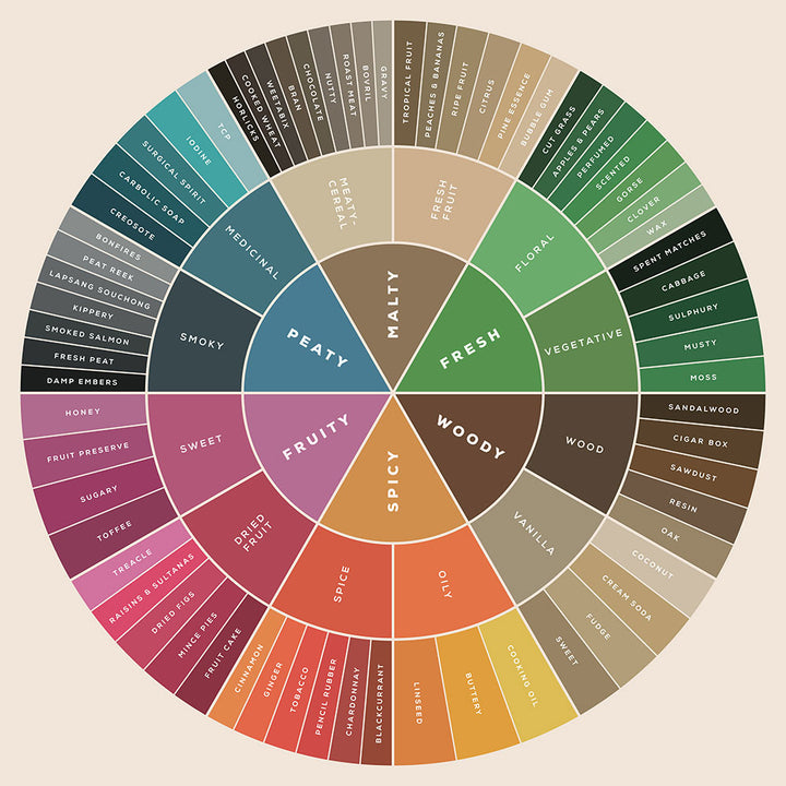 The Whisky Flavour Wheel - Art Print - Zapista