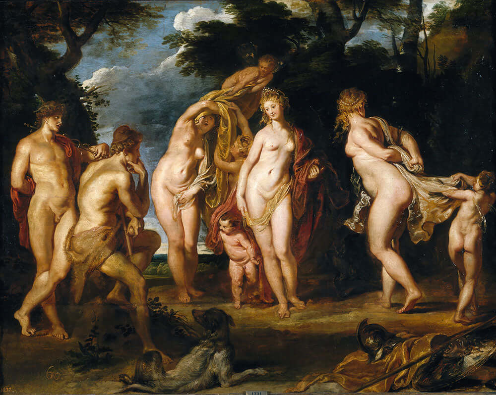 The Judgment Of Paris by Peter Paul Rubens - Art Print - Zapista