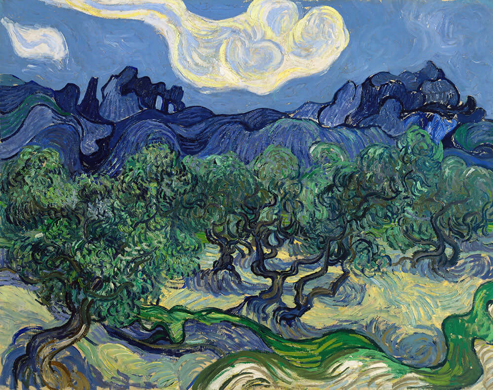 The Olive Trees by Vincent van Gogh - Art Print - Zapista