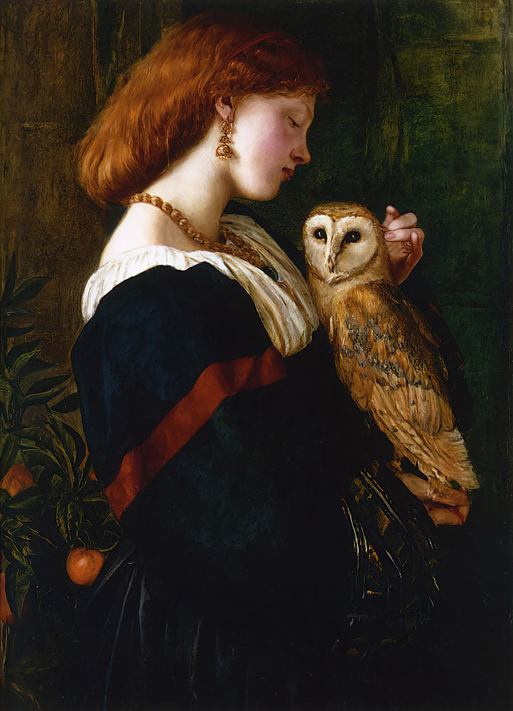 The Owl by Valentine Cameron Prinsep - Art Print - Zapista