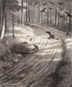 The Pauper by Theodor Kittelsen - Art Print - Zapista