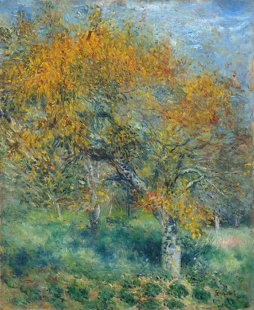 The Pear Tree by Pierre-Auguste Renoir - Art Print - Zapista