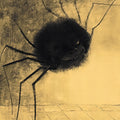 The Smiling Spider by Odilon Redon - Art Print - Zapista