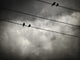The Trace 11:25 - Art Print - Zapista