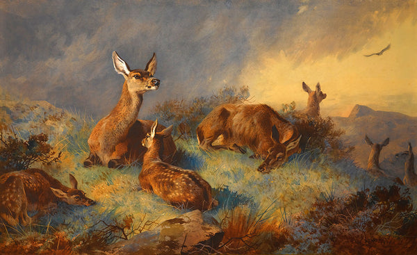 The Watchful Hinds by Archibald Thorburn - Art Print - Zapista