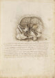 The Cranium Sectioned by Leonardo da Vinci - Art Print - Zapista