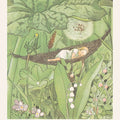 Thumbelina by Elsa Beskow - Art Print - Zapista