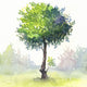 Tree Study - Art Print - Zapista