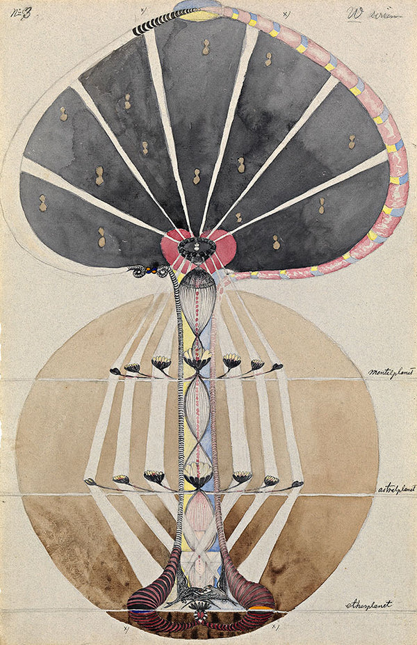 Tree of Knowledge, No. 3 by Hilma af Klint - Art Print - Zapista