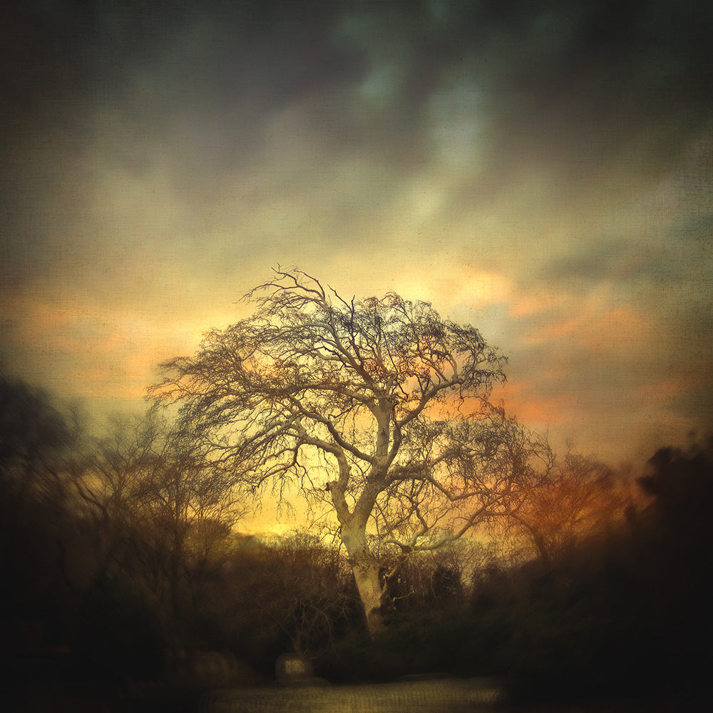 Un dernier crepuscule - Art Print - Zapista