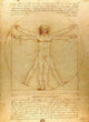 Uomo Vitruviano by Leonardo da Vinci - Art Print - Zapista