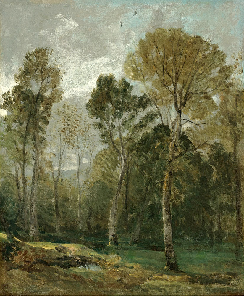 View Of A Copse by John Constable - Art Print - Zapista