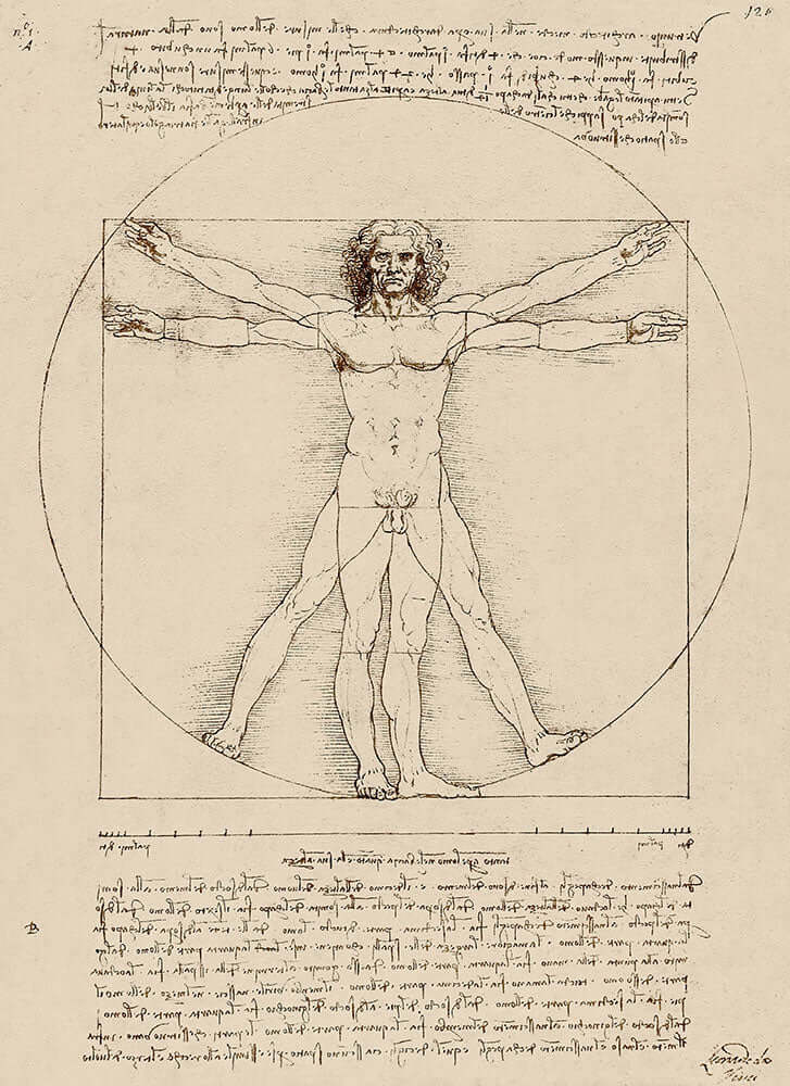 Vitruvian Man by Leonardo da Vinci - Art Print - Zapista