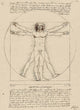 Vitruvian Man by Leonardo da Vinci - Art Print - Zapista