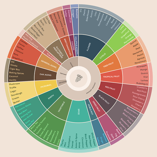 Wheel of Wine Flavors - Art Print - Zapista