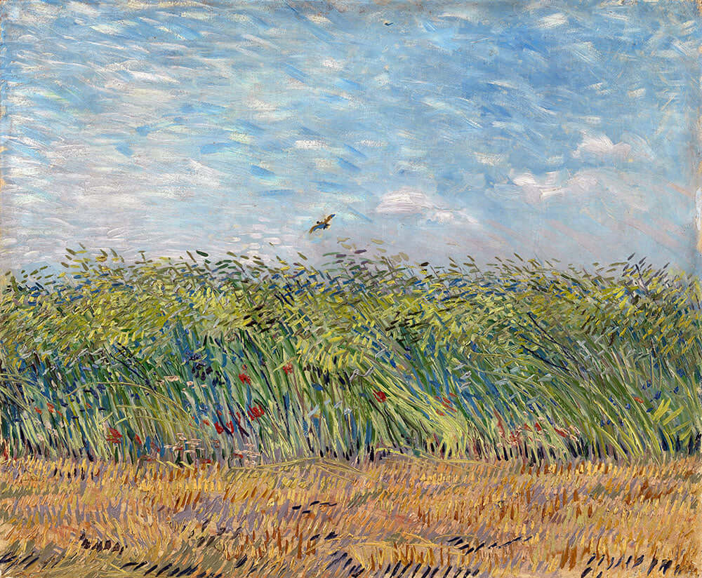 Wheat Field with a Lark by Vincent van Gogh - Art Print - Zapista