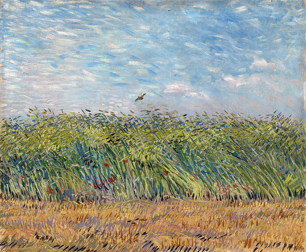 Wheat Field with a Lark by Vincent van Gogh - Art Print - Zapista