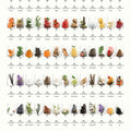 The Aromas of Wine - Art Print - Zapista