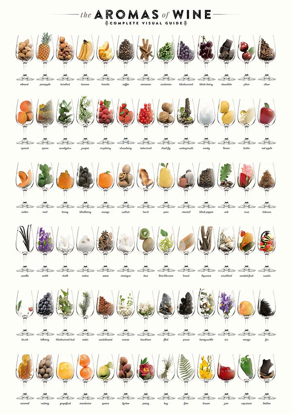The Aromas of Wine - Art Print - Zapista