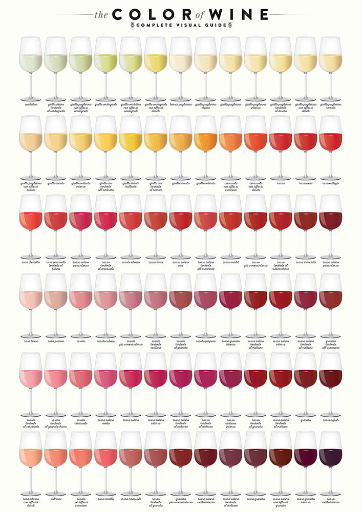 The Color of Wine - Art Print - Zapista