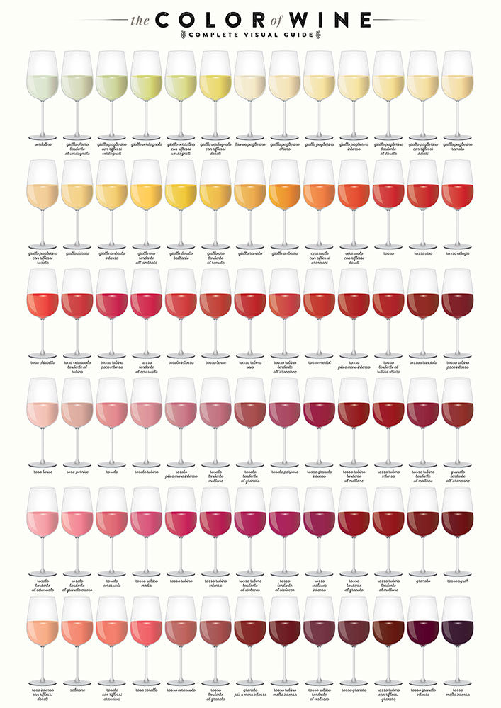 The Color of Wine - Art Print - Zapista