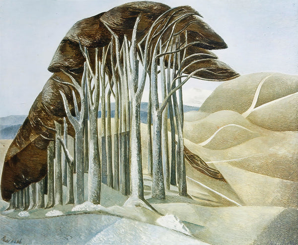 Wood on the Downs by Paul Nash - Art Print - Zapista