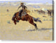 A Cold Morning on the Range - Canvas Print