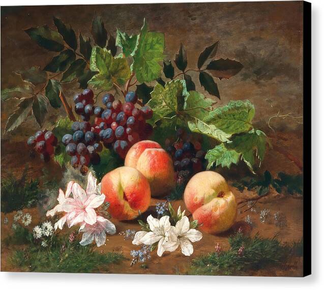 A Forest Still Life with Peach and Grapes - Canvas Print