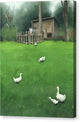 A Walk - Canvas Print