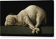 Agnus Dei - Canvas Print