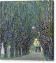 Allee at Schloss Kammer - Canvas Print