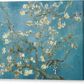 Almond Blossoms - Canvas Print