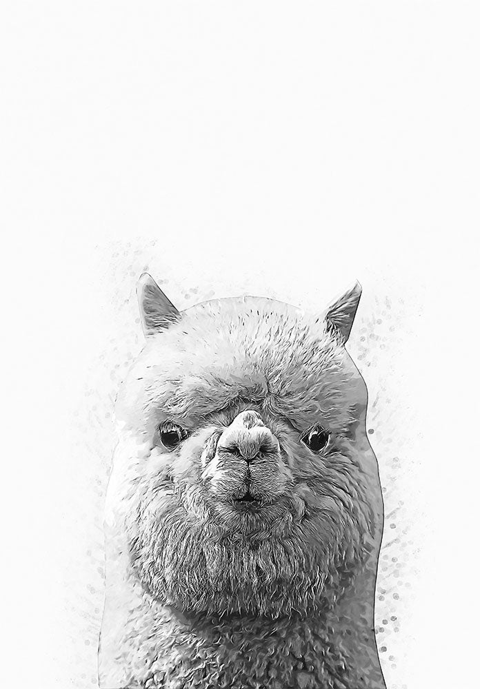 Alpaca - Art Print - Zapista