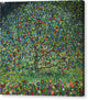 Apple Tree I - Canvas Print
