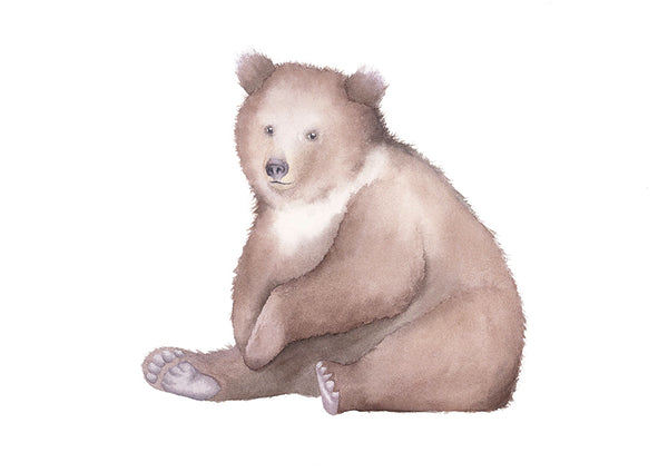 Bear Watercolor - Art Print - Zapista