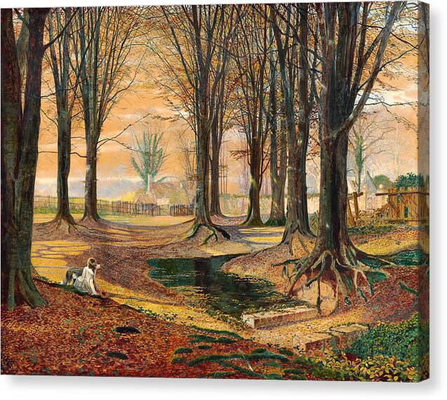 Beechwood - Canvas Print