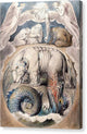 Behemoth and Leviathan - Canvas Print