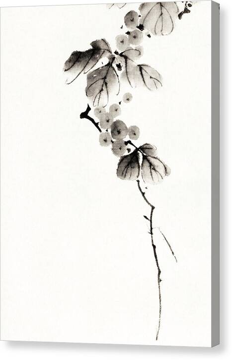 Berry Branch - Canvas Print