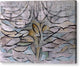Blossoming Apple Tree - Canvas Print