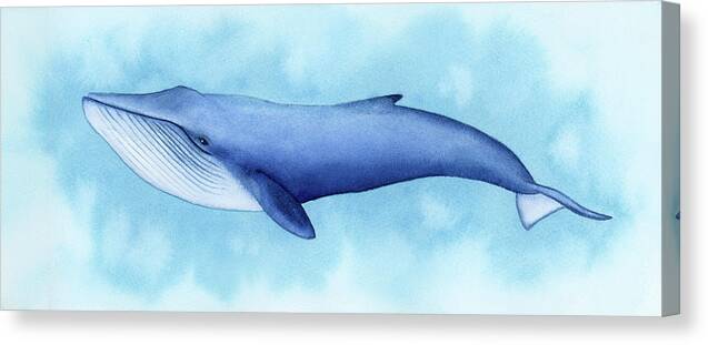 Blue Whale - Canvas Print