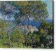 Bordighera - Canvas Print
