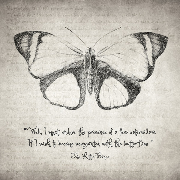 Butterfly Quote - The Little Prince - Art Print - Zapista