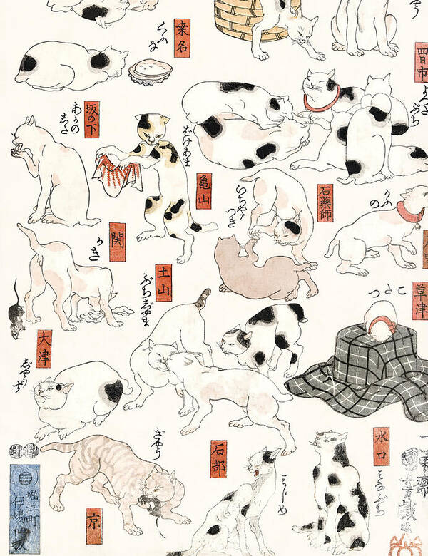 Cats - Art Print