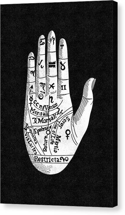Chiromancy - Canvas Print